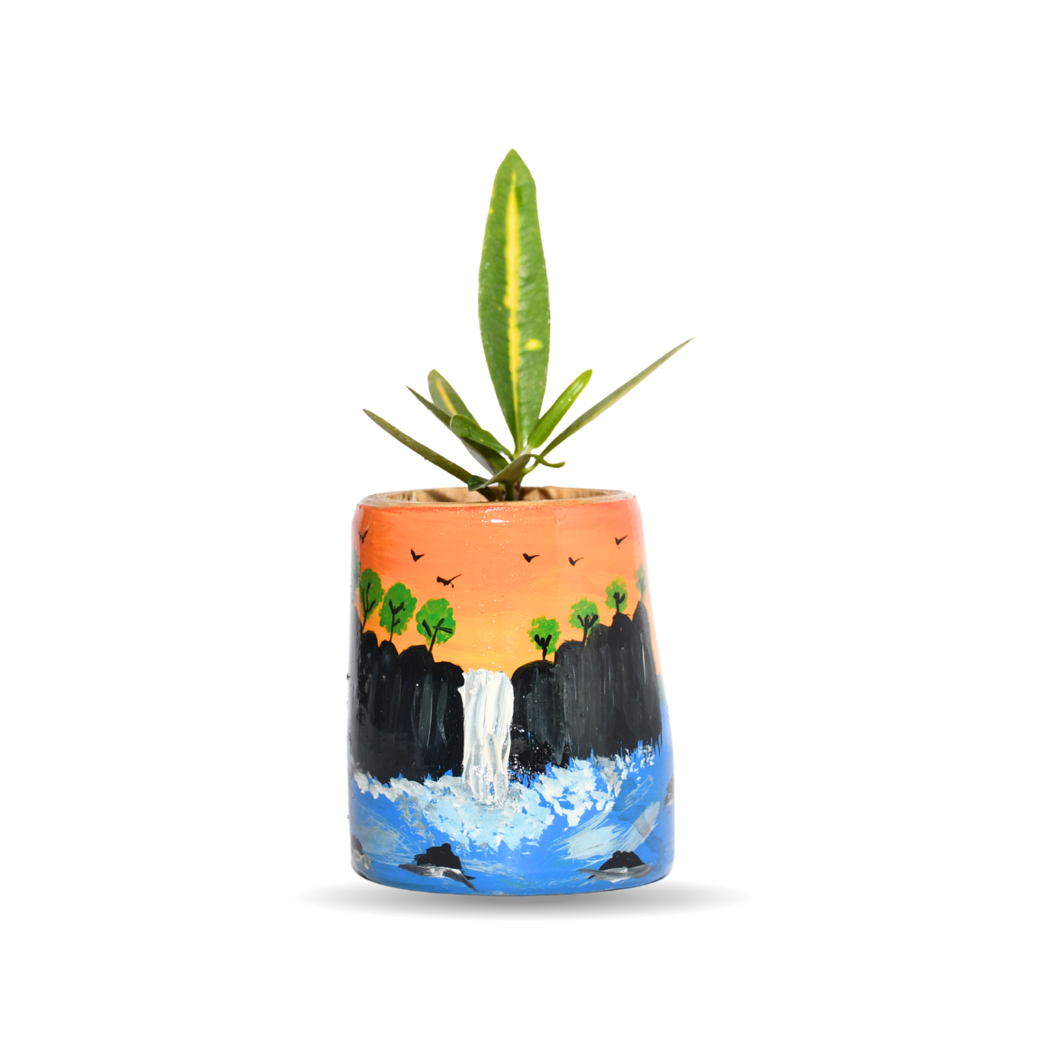 bamboo indoor plant