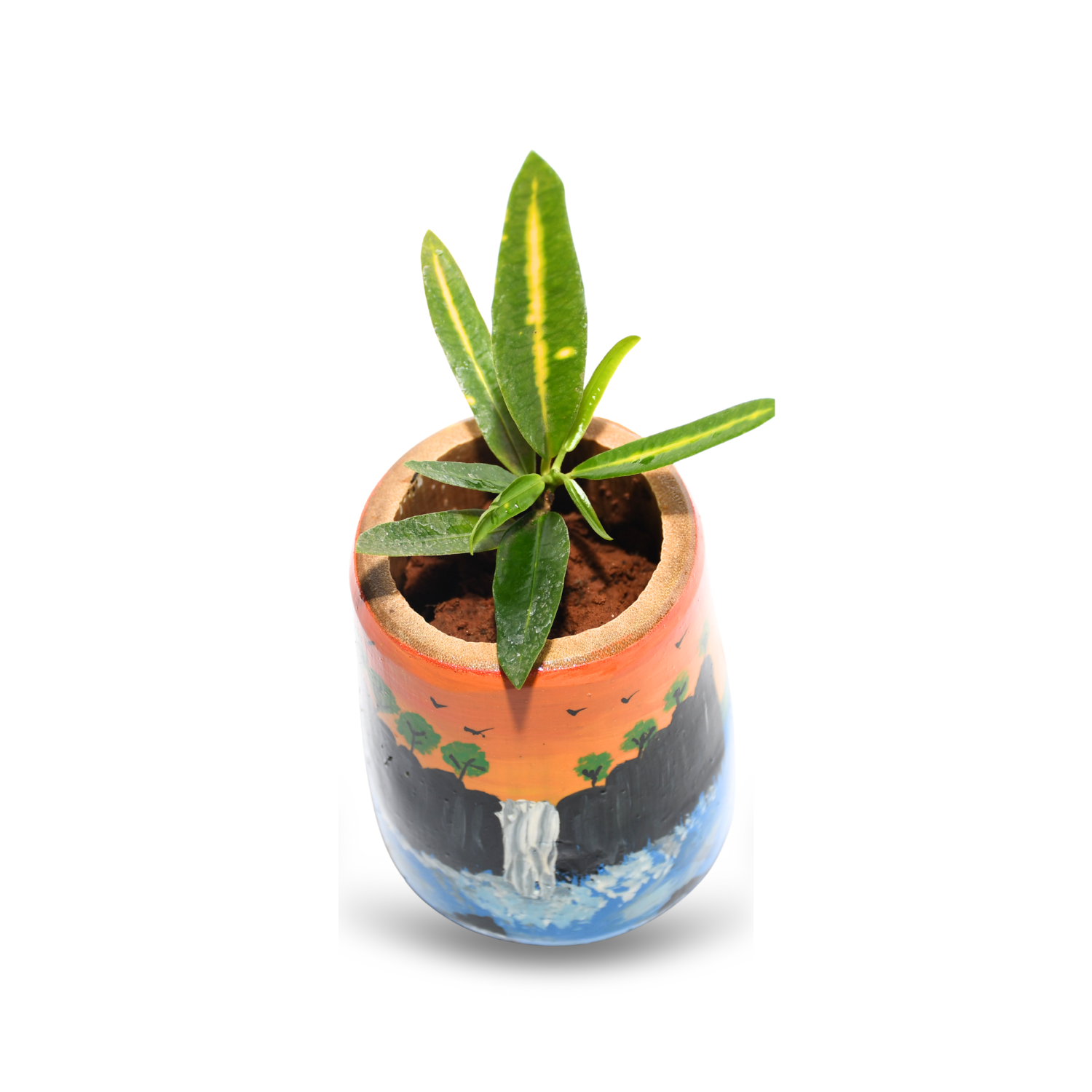Bamboo Indoor Plant Holder